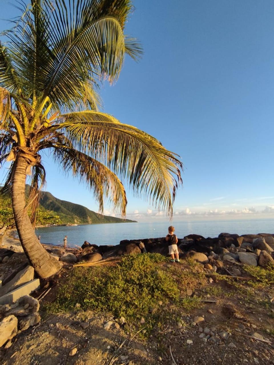 Kaz A Soley - Gite Vue Panoramique Sur La Mer - Plage A 500M Gourbeyre Eksteriør billede